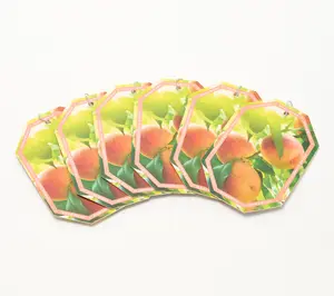 HomeWorx by Slatkin + Co. S/6 Hanging Auto Air Freshners