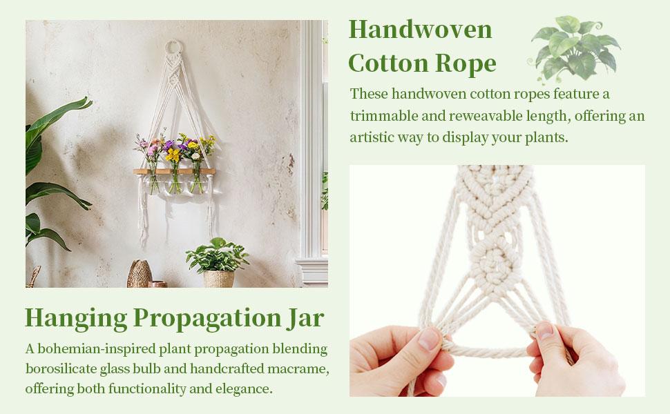 Glasseam Hanging Macrame Propagation Stations: Wall Window Glass Propagation Vases for Hydroponics Plants - Boho Decor Small Plant Terrarium Jars - Gifts for Women Mom Plants Lovers
