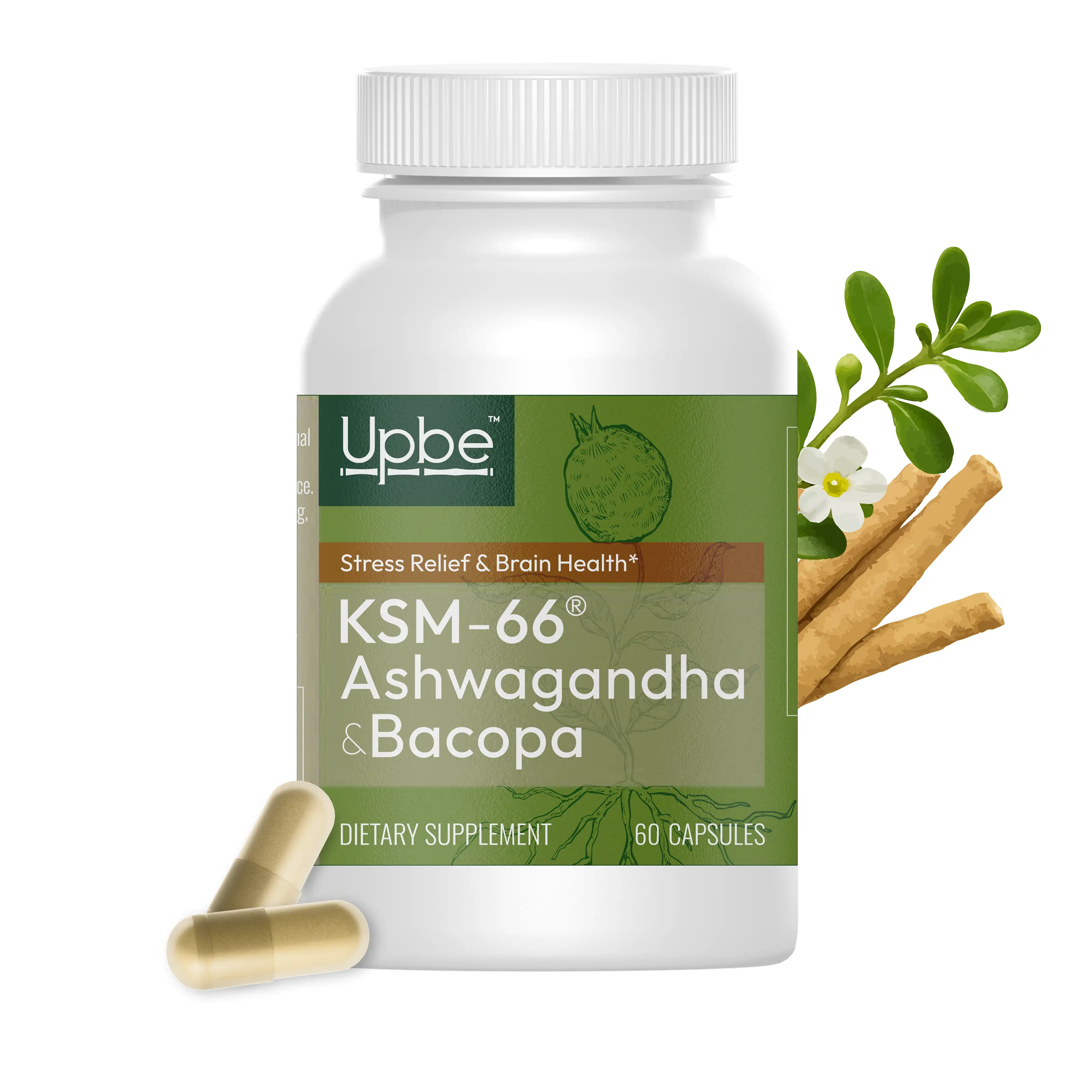Upbe Ashwagandha & Bacopa for Stress, Focus & Hormonal Health –Energy Support for Men – PMS & Menopause Relief for Women – 60 Vegan Capsules