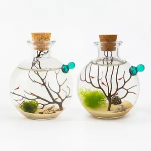 Gift set bundle 2 ecospheres