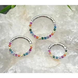 1 Piece Stunning Rainbow CZ Prong Set Front Hinged Segment Septum Ring - 16g - Internal Diameter 6mm, 8mm or 10mm