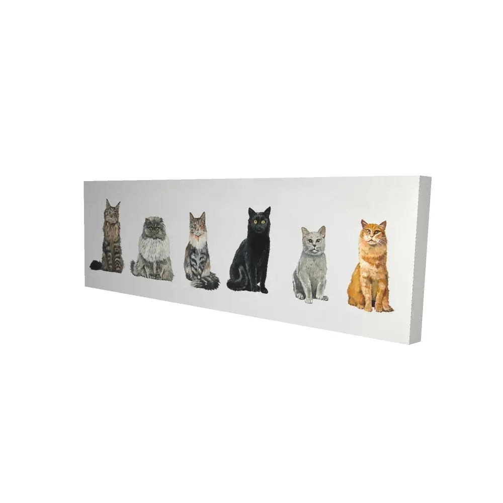 212 MAIN 16x48 in. High-Def Unique Artwork Cat Wall Photo Print - Artistic Illustrative 6-Lined-Up Cats Home Supplies Decor, Gift-Worthy Room Accent for Kids