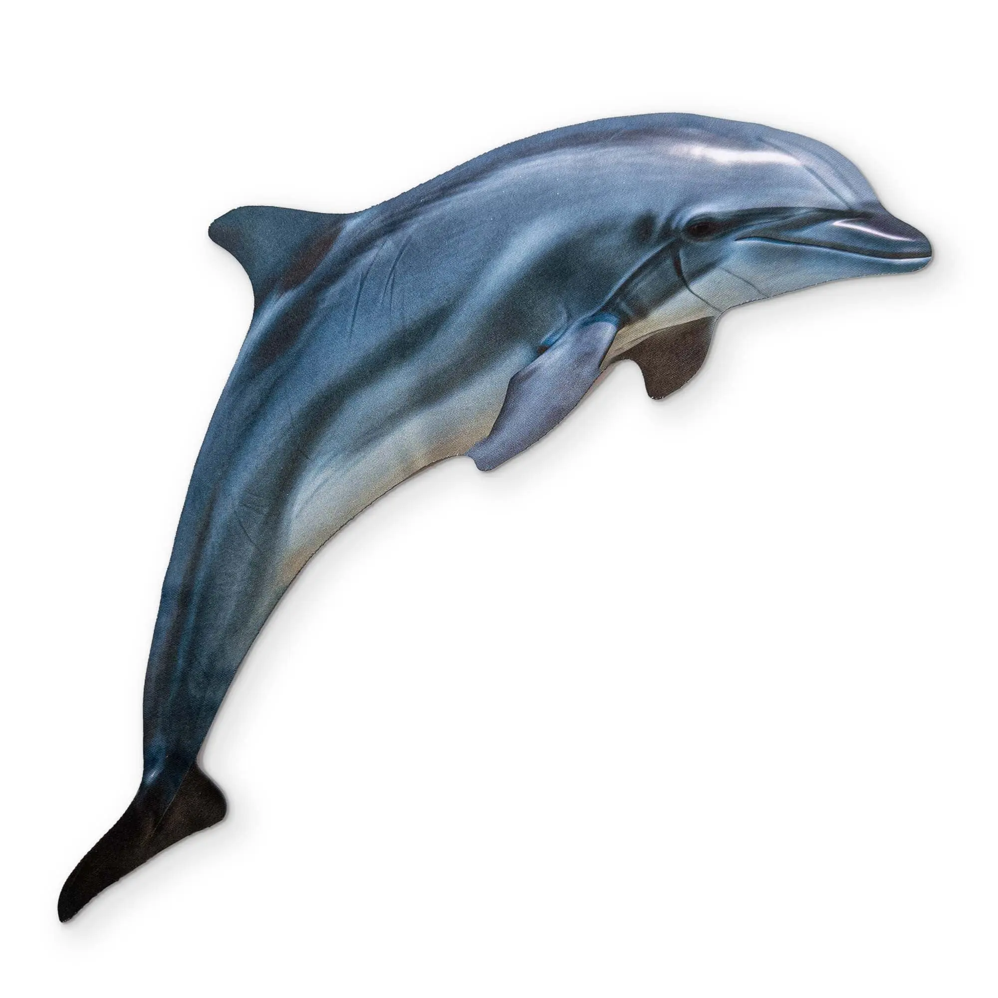 A DOLPHIN YOU CAN CLEAN YOUR GLASSES WITH