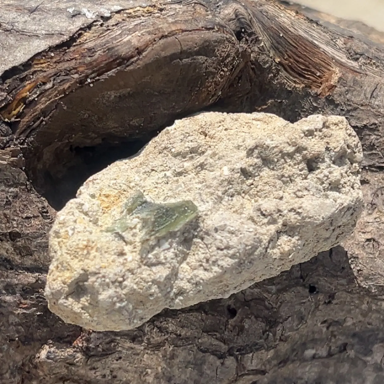 Moldavite in Matrix - in situ