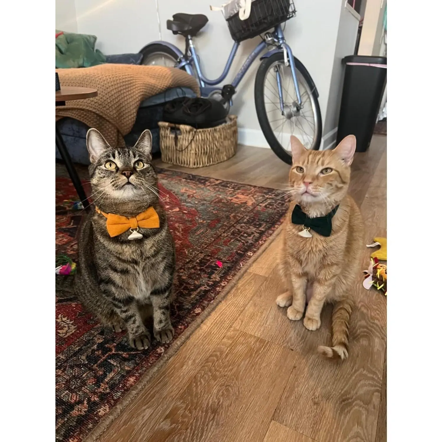 2 Pack Soft Corduroy Cat Collars with Bow Tie & Bell, Adjustable Breakaway Cotton Kitty Bowtie Collar for Girl Boy Kitten (Orange & Green) 2 Pack Soft Corduroy Cat Collars with Bow Tie & Bell, Adjustable Breakaway Cotton Kitty Bowtie Collar for Girl Boy Kitten (Orange & Green)