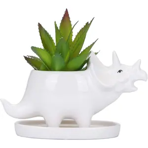 Desktop Cute Cartoon White Triceratops Dinosaur Ceramic Succulent Pot with Tray, Tabletop Bonsai Cactus Flower Pot Vase Holder Decorative Organizer