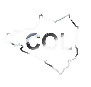 Mexican State Map Outline Colima Vinyl Decal Sticker UV & Waterproof Bumper Window Laptop Automotive Water Bottle Gift accessories – SILVER CHROME 5.5"