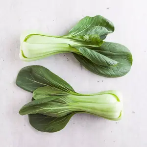 200+ Seeds Chinese Cabbage Pak Choi Mei Qing Choi ShanghaiQing Vegetable USA