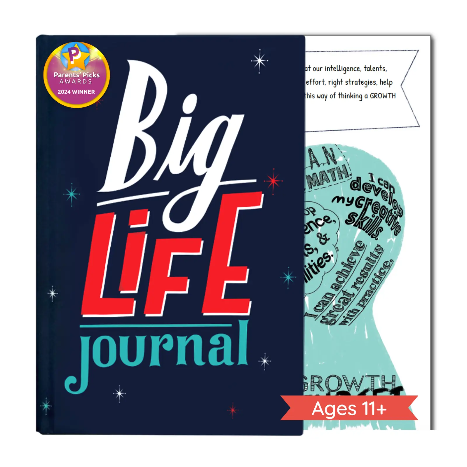 Big Life Journal - Teen Edition: A Growth Mindset Journal - Interactive Journal for Teens & Tweens (Ages 11+)