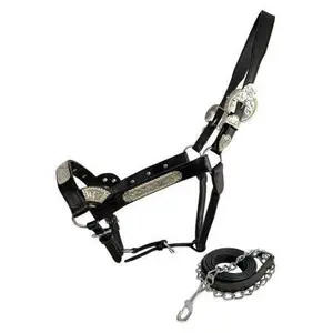 Horse size Dark Oil Show Halter w/ 6' Lead