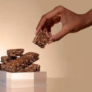 15G Protein Graham Cracker Fudge Bar