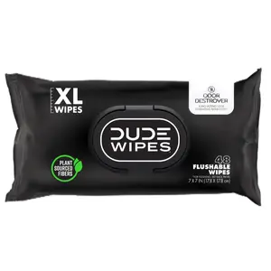 DUDE Wipes - Flushable Extra-Large Adult Wet Wipes, 3 Pack, 144 Wipes - Mint Chill, Aloe, Eucalyptus & Tea Tree Oils - Toilet purple wipe