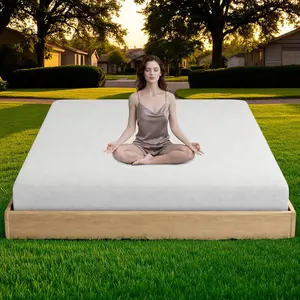Sheets for Bed Sleeping, 90% Tencel 10% Pure Silver Fiber Grounded Sheet with 15 Feet Cord Test Pen for Better Sleep Relieve Stress (White, Super King)