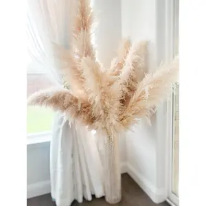 48” Jumbo size set of 10 Real Pampas in Beige color, Fall Flowers, DIY Centerpiece |Florals |Wedding| Home Design