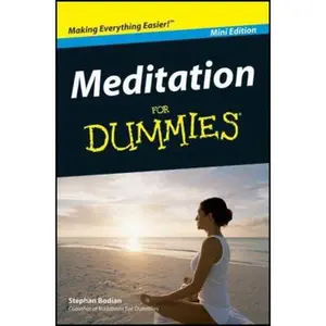 USED Book - Meditation For Dummies (Mini Edition) by Stephan Bodian (Unknown)