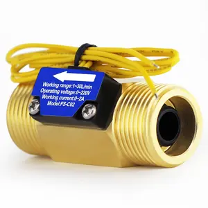 DIGITEN FS-C02 G3/4" BSP Male Thread Brass Water Flow Switch 1-30L/min, 0-2A/ 0-220V(AC or DC)