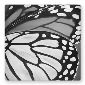 212 MAIN 16x16 in. Aluminium Black and White Wall Art - Minimalist Metal Print, Artistic Closeup Butterfly with Wing Details Nature Artwork, Home Decor Decoration Supply