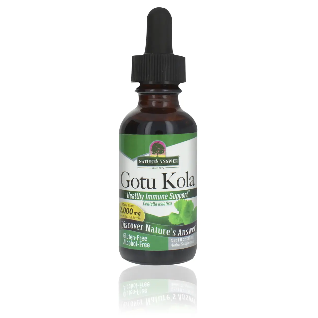 Nature's Answer Gotu Kola Herb Alcohol Free, 1-Fluid Ounce | Dietary Supplement | Supports Immune System | Made in The USA | Gluten-Free | Single Count