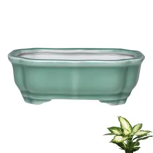 White Crackle Glaze Ceramic Succulent Planter, Elegant Small Lace Pot for Jade Plants Bamboo Green Plants, Ideal Bonsai Container for Balcony Living Room Bedroom, Promotes Healthy Growth with Drainage