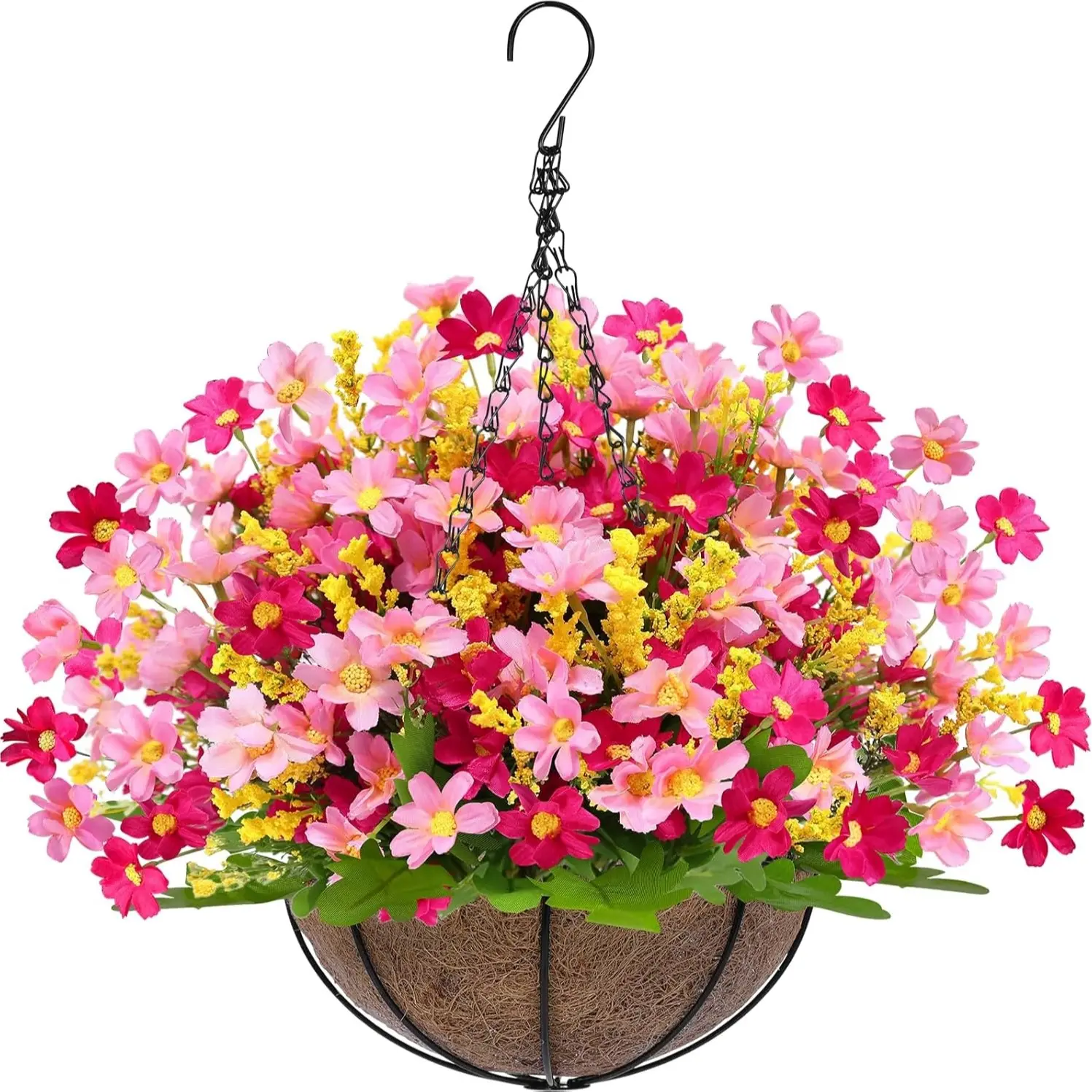 Daisy Pink Mix