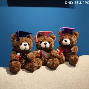 Doctor Bear Plush Toy, Stuffed Animal, Graduation Cap and Diploma Ribbon, Teddy Bear, Cute Expression, Perfect for Graduation Gifts