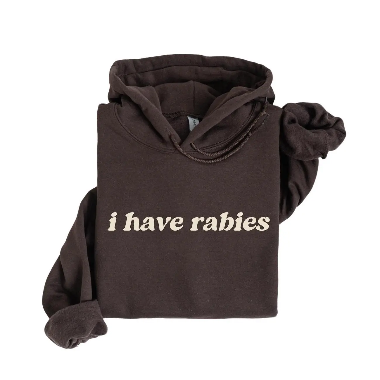 I Have Rabies Funny Hoodie/Sweatshirt/T-shirt, Unhinged Meme Sweatshirt, Grunge Y2k Clothing, Weird Dark Humor Tee, Sweatshirt Gift