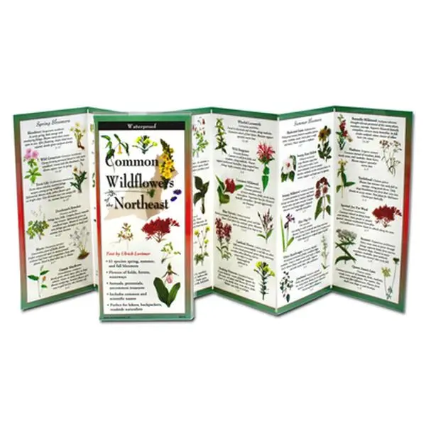 Natural Sciences Book: Common Wildflowers of the Northeast by Ulrich Lorimer, earth sky + water, 0.24 lbs, 9.4" h x 4.25" l x 0.05" w