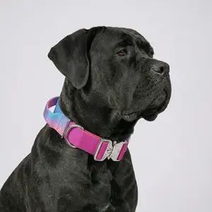 Gradient Tactical Dog Collar, Heavy Duty No Pull Training Collar with Control Handle & Metal Buckle for Medium Large Dogs