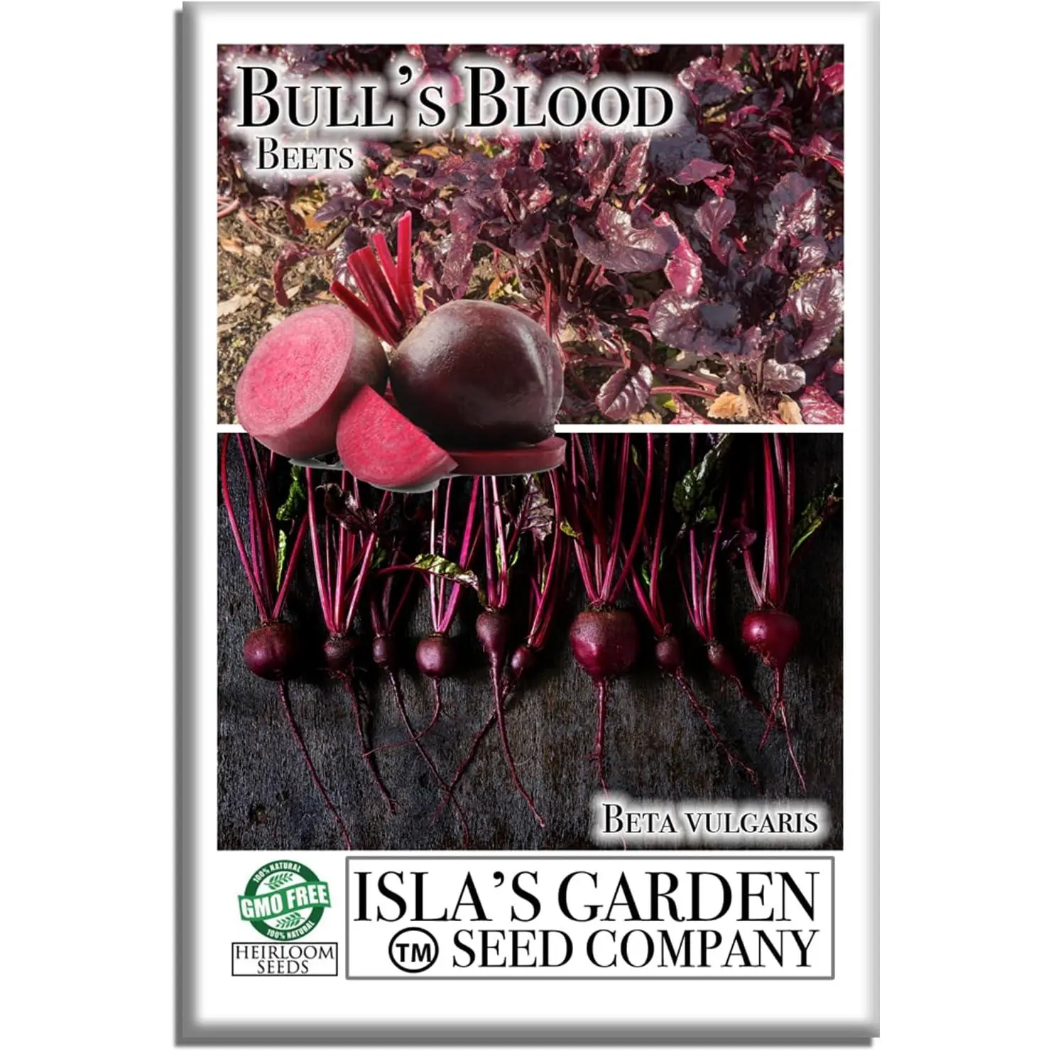 100+ Bulls Blood Beet Seeds (Beta vulgaris), Heirloom Non-GMO Vegetable Seeds, Dual-Purpose Beet Variety with Deep Red Roots & Burgundy Leaves for Home Garden & Outdoor Growing