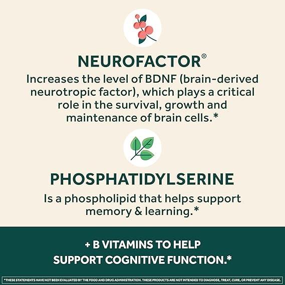 Neuriva Plus Mind Support Formula Cognitive Enhancer with Clinically Studied Ingredients Neurofactor PS B Vitamins 30 Count Brain Healthcare Fitness