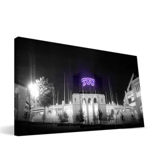 212 MAIN TCU Amon G. Carter Stadium Canvas - 16x36 in, Frog-Themed Photo Wall Decor for Room, Print