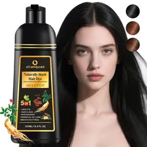 Hair Color Shampoo for Gray Hair – Natural Hair Dye Shampoo – Colors Hair in Minutes – Lasts Up To 3-4 Weeks – 500ML – 5-In-1 Hair Color – Colors, Cleanses, and Conditions (Black) Haircare