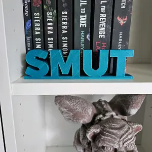 Smut Sign, Smut Plaque, Book Decor, Shelf Decor, Bookish, Book Trope Sign, Book Genre Sign,