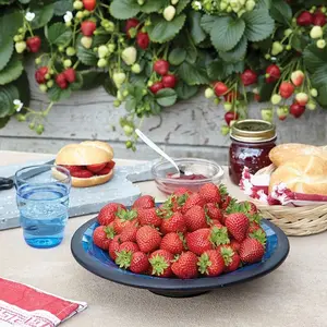 700+ Red Climbing Strawberry Seeds Easy to Grow Everbearing Fruit for Your Garden Delicious & Thriving Harvest All Seasons