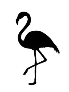 flamingo animal funny humor home decor car truck decal sticker 5"