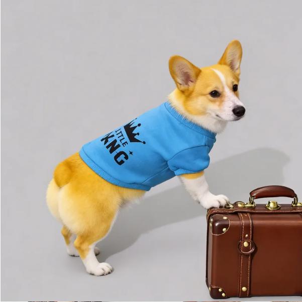 Crown Print Pet Sweatshirt for Dogs & Cats Soft Blue Pullover with Ribbed Cuffs Striped Letter Design Little King Theme