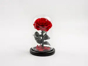 ExoticEtFleur Preserved Rose in Glass Dome - Timeless Beauty for Gifting & Decor