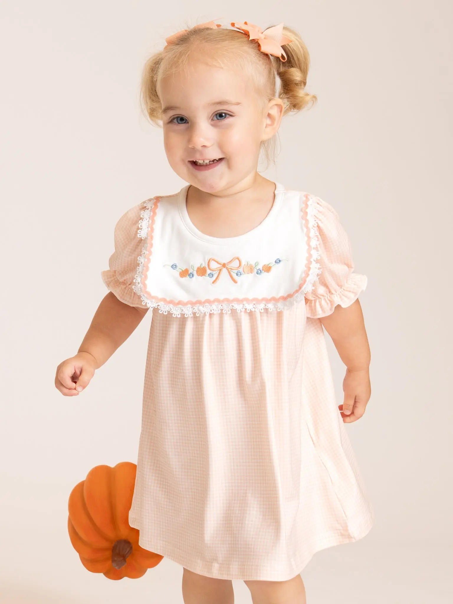 Country Ribbon Embroidered Dress