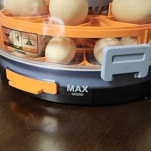 review image 5