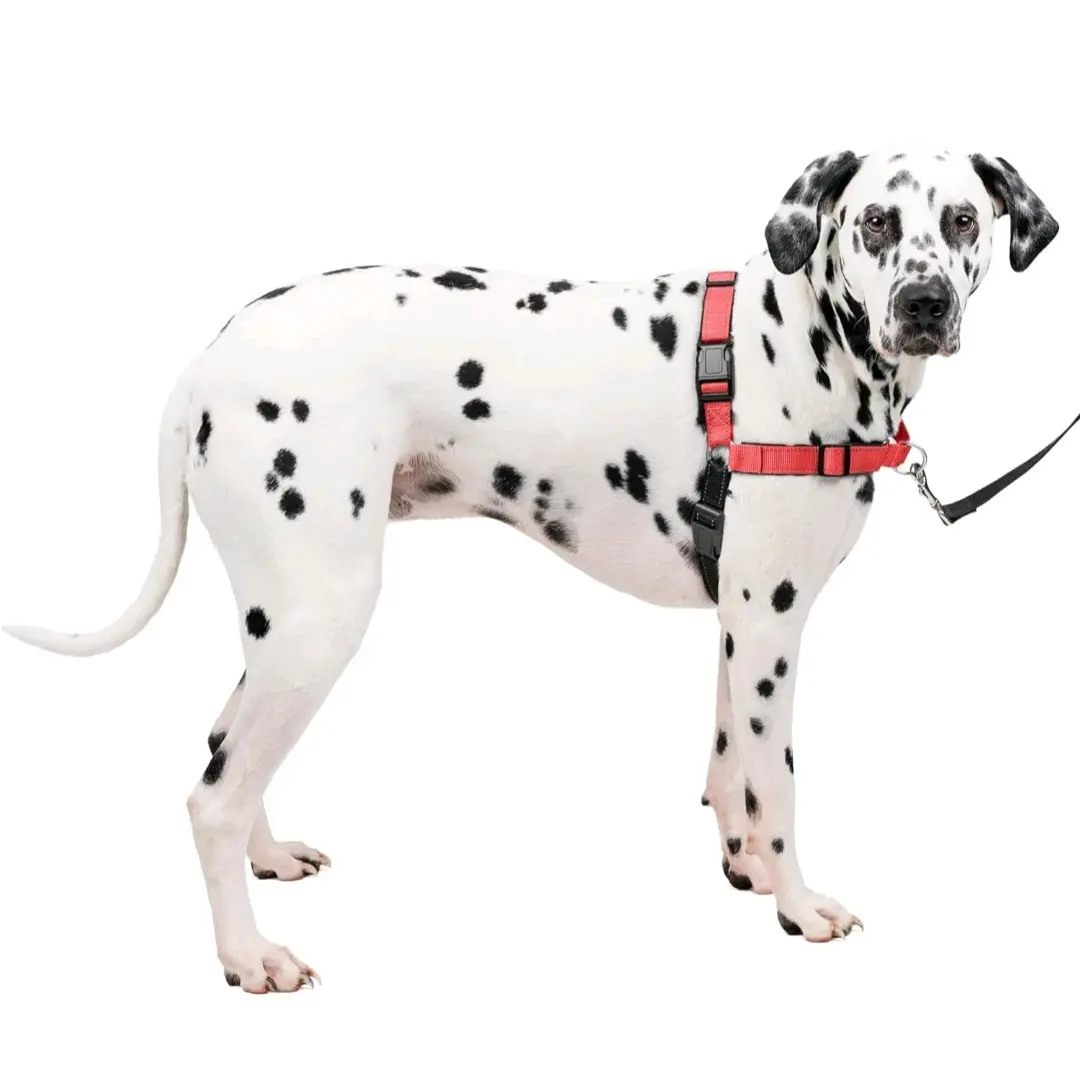 Pet Safe Easy Walk No Pull Dog Harness Black/Red Large 16”-21” 65-95 lbs New