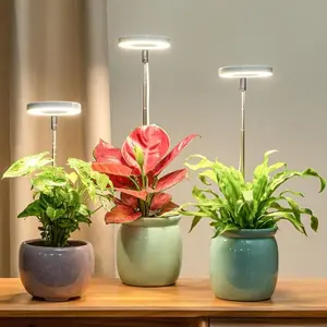 Indoor Plant Growth Light, 1 Count USB Powered LED Height Adjustable Plant Light with 4 Dimming Brightness & 4/8/12 H on/Off Timer