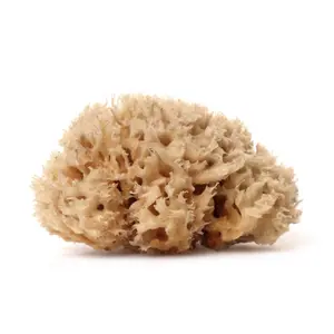 The Sóma Sponge - Nisiá 100% Natural Wool Sea Sponge For Shower, Bath & Dry Brushing, Skincare