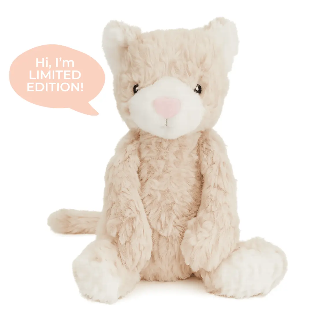 Pickles The Weighted Cat - 3.2lb Sensory Plush Toy for Kids, Calming Comfort for Anxious Littlies