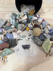 DINO DIGGER- QUART MINI MINER FOSSIL FREAK NATURAL CRYSTAL MINING BUCKET