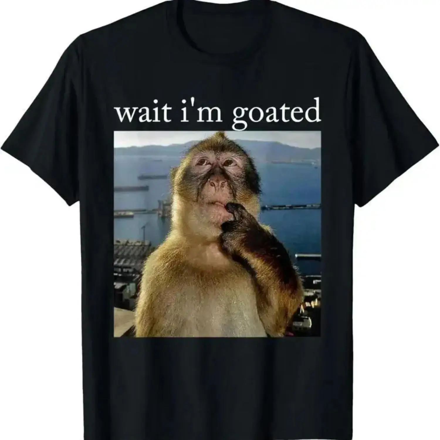 Funny Monkey Meme Brainrot T-Shirt Perfect for Valentine's Day Gift