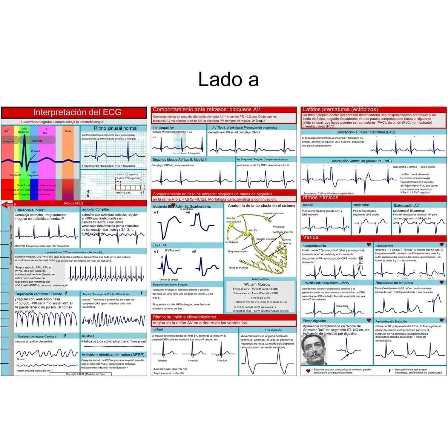 EKG Pocket Guide, ECG Rhythm Interpretation Includes 12 - Lead ECG/EKG Interpretation, Compact & Portable Reference Guide for Students to Easily Learn How to Read & Interpret ECG Strips