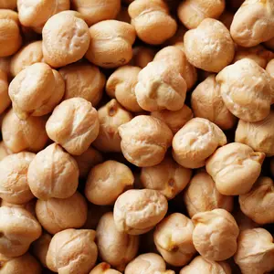 Garbanzo Bean (Cicer arietinum) Organic Seeds – Protein-Packed Chickpeas, Ideal for Hummus, Salads, and Mediterranean Cooking