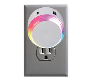 2 USB Output Ports RGB AC Charger & Type C