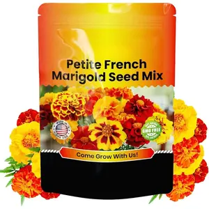 Marigold Seeds Mix, Over 5600 Seeds, Marigold Seeds for Planting Outdoors, Dainty Marietta
