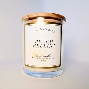GAIA Naturals Peach Bellini Soy Candle - All Natural Homemade Candles Safe for Children and Pets - Decorative Candle for Home Freshener - Women Owned Business